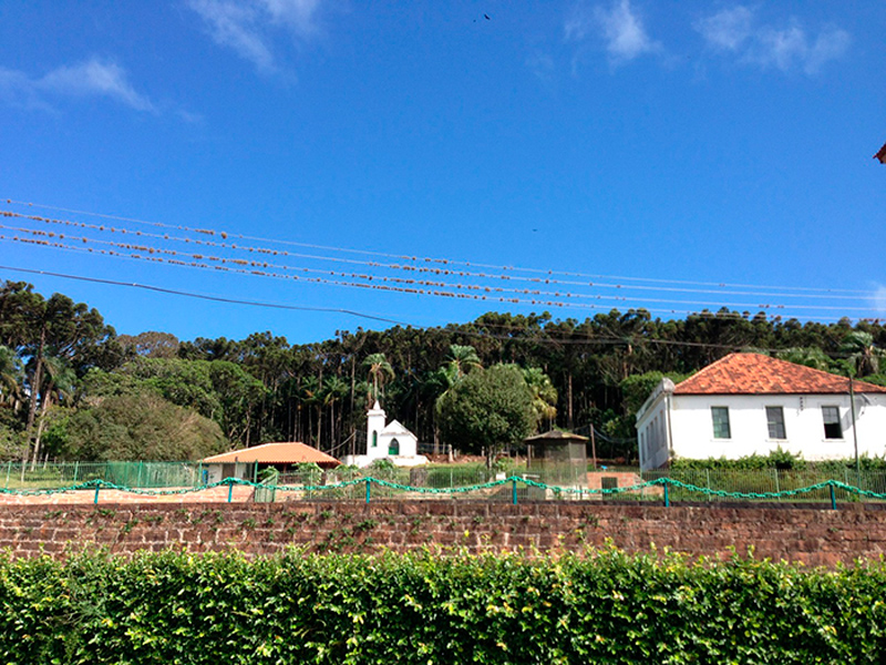 Morro Chato Agropecuária | Agricultura, Pecuária e Reflorestamento