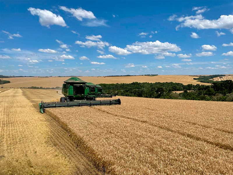 Morro Chato Agropecuária | Agricultura, Pecuária e Reflorestamento