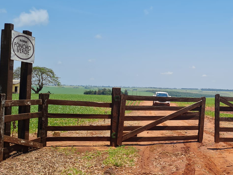 Morro Chato Agropecuária | Agricultura, Pecuária e Reflorestamento