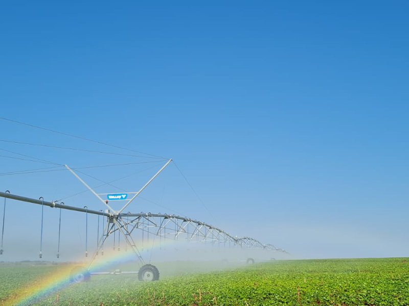 Morro Chato Agropecuária | Agricultura, Pecuária e Reflorestamento